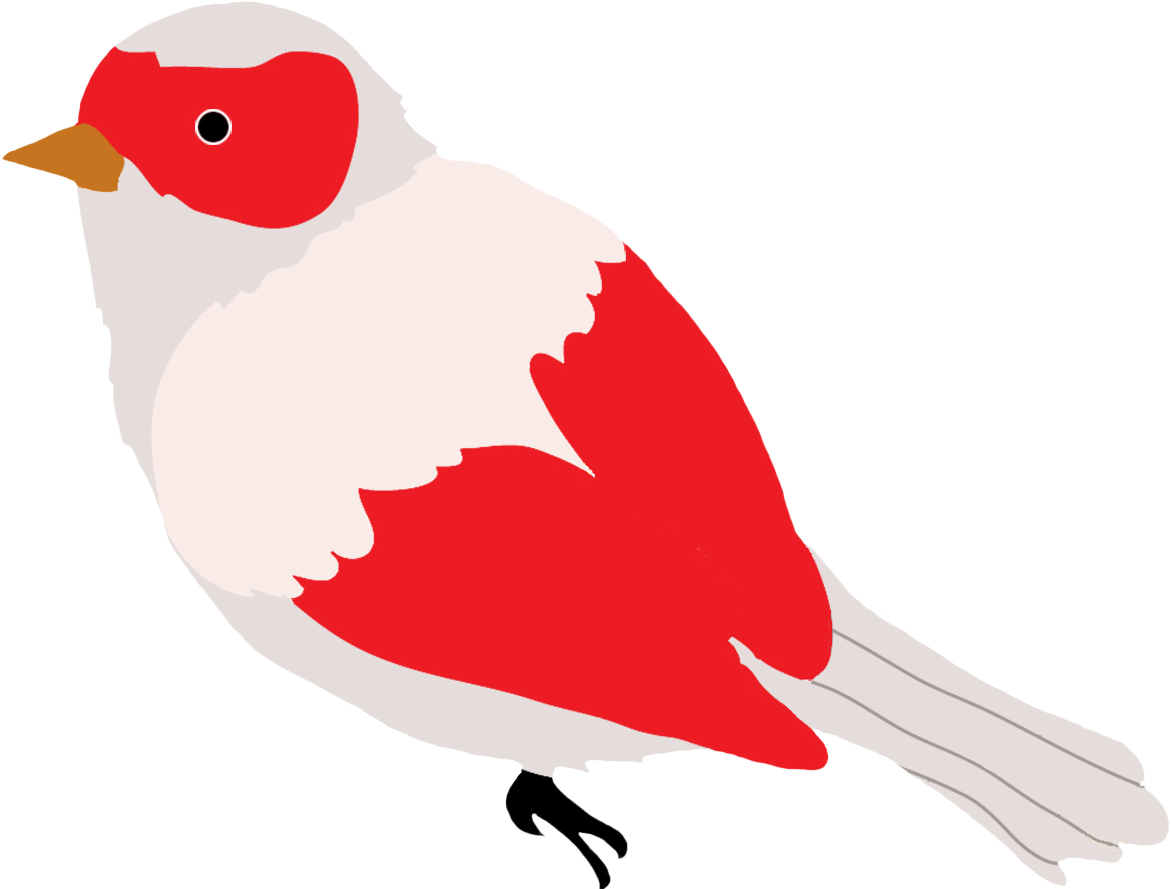 Green Colored Bird Drawing - Birds Clipart Drawings - Png Download (1181x896), Png Download