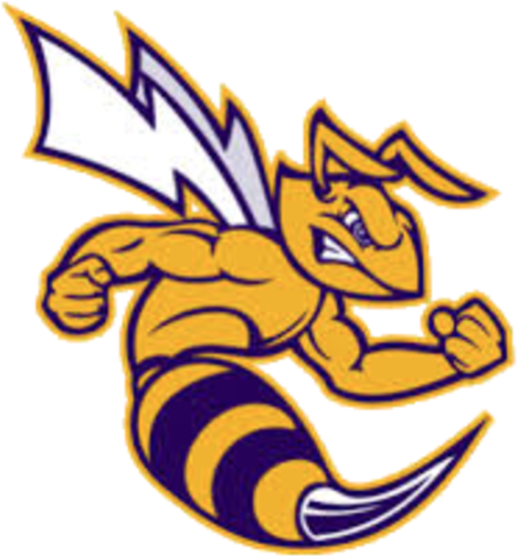 Hornet Clipart Concordia - Angola High School Hornets - Png Download (720x662), Png Download