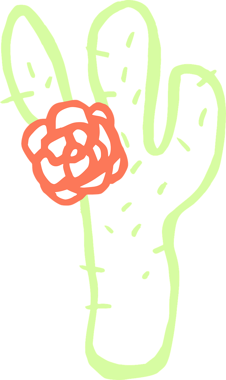 Cactus Saguaro Download Drawing - Clip Art - Png Download (448x750), Png Download