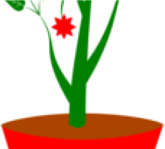 Potted Plants Clipart Transparent Background - Clip Art - Png Download (640x480), Png Download