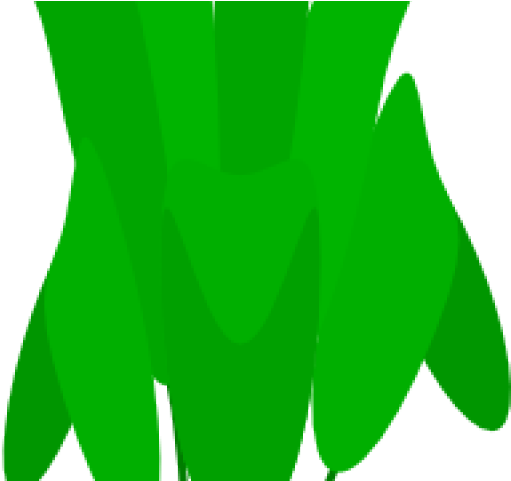 Pot Plant Clipart Cartoon - Png Download (640x480), Png Download