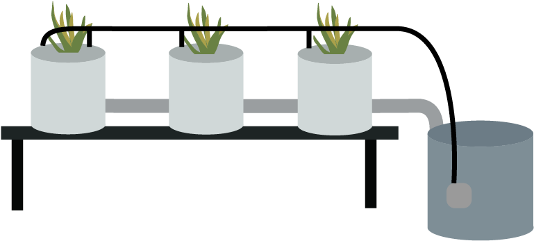 Dutch Bucket - Dutch Bucket Hydroponic System Clipart (800x440), Png Download