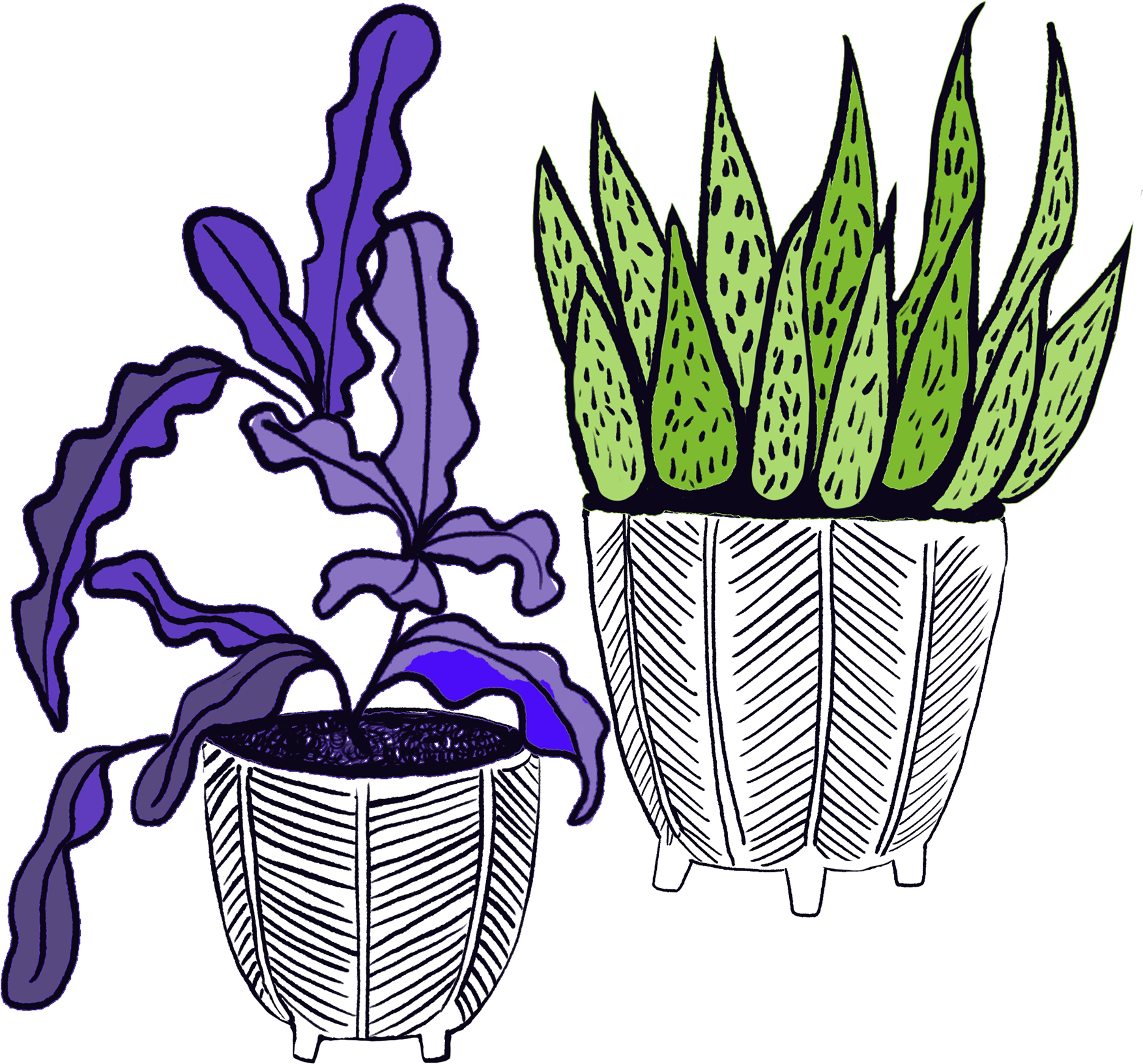 Succulents Brewery Clipart (1920x1920), Png Download