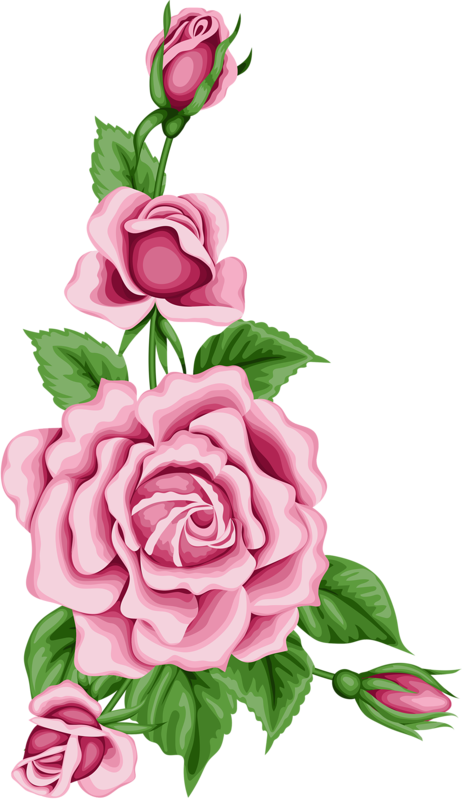 Flower Card With Colorful Roses Png Pinterest - Pink Flower Border Png Clipart (462x800), Png Download
