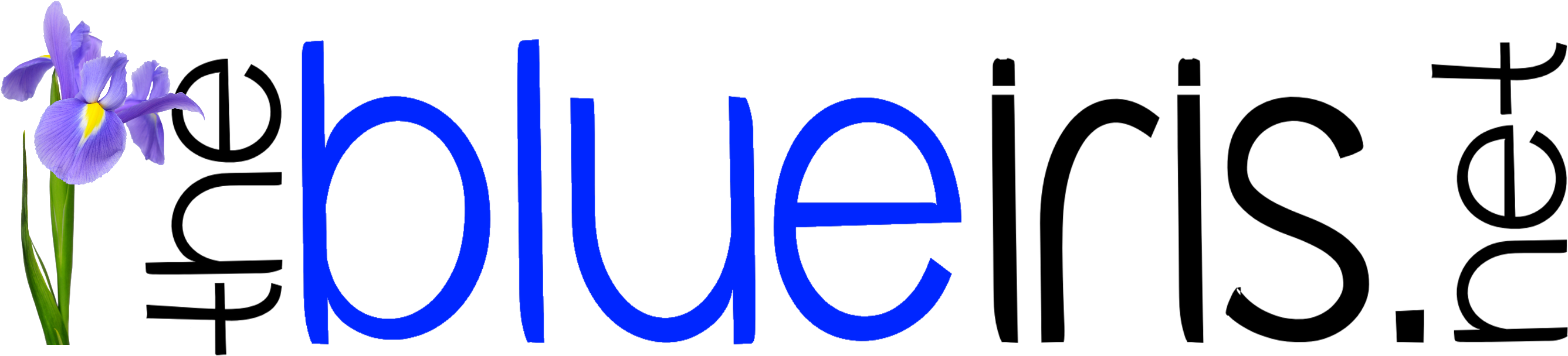The Blue Iris Clipart (2793x677), Png Download
