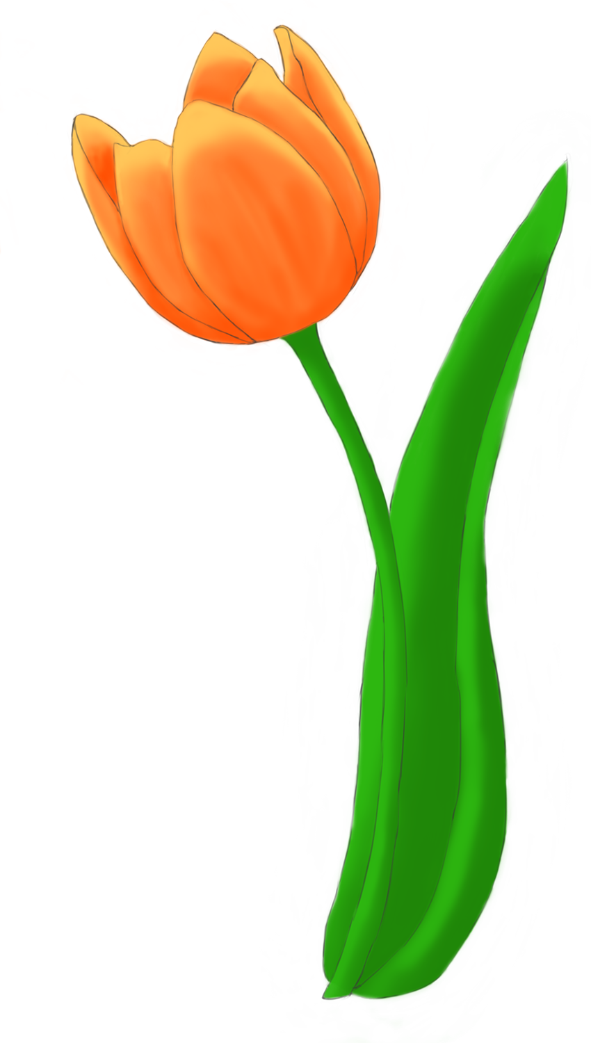 Tulip Bouquet Example Image Clipart (850x1500), Png Download