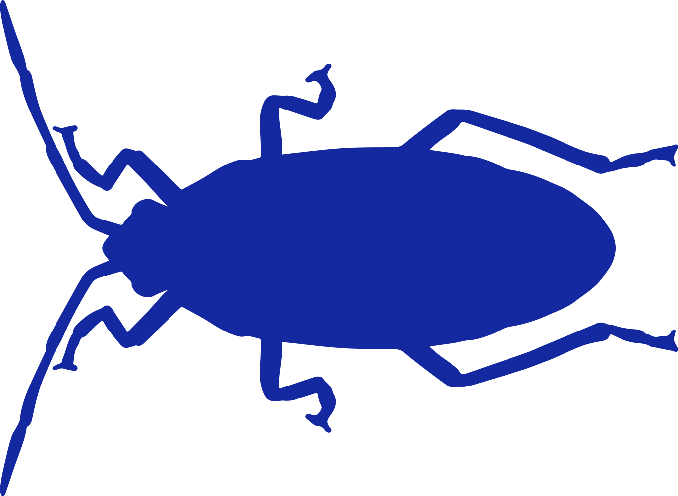 Cockroaches Clipart (1368x1001), Png Download