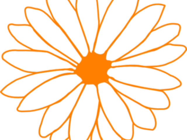 Orange Flower Clipart Orange Floral - Png Download (640x480), Png Download