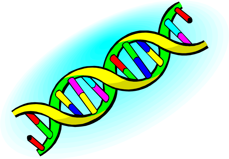 All 4 A Level Ocr Biology Crossword Packs Clipart (750x523), Png Download