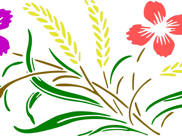 Floral Clipart Colour - Png Download (640x480), Png Download