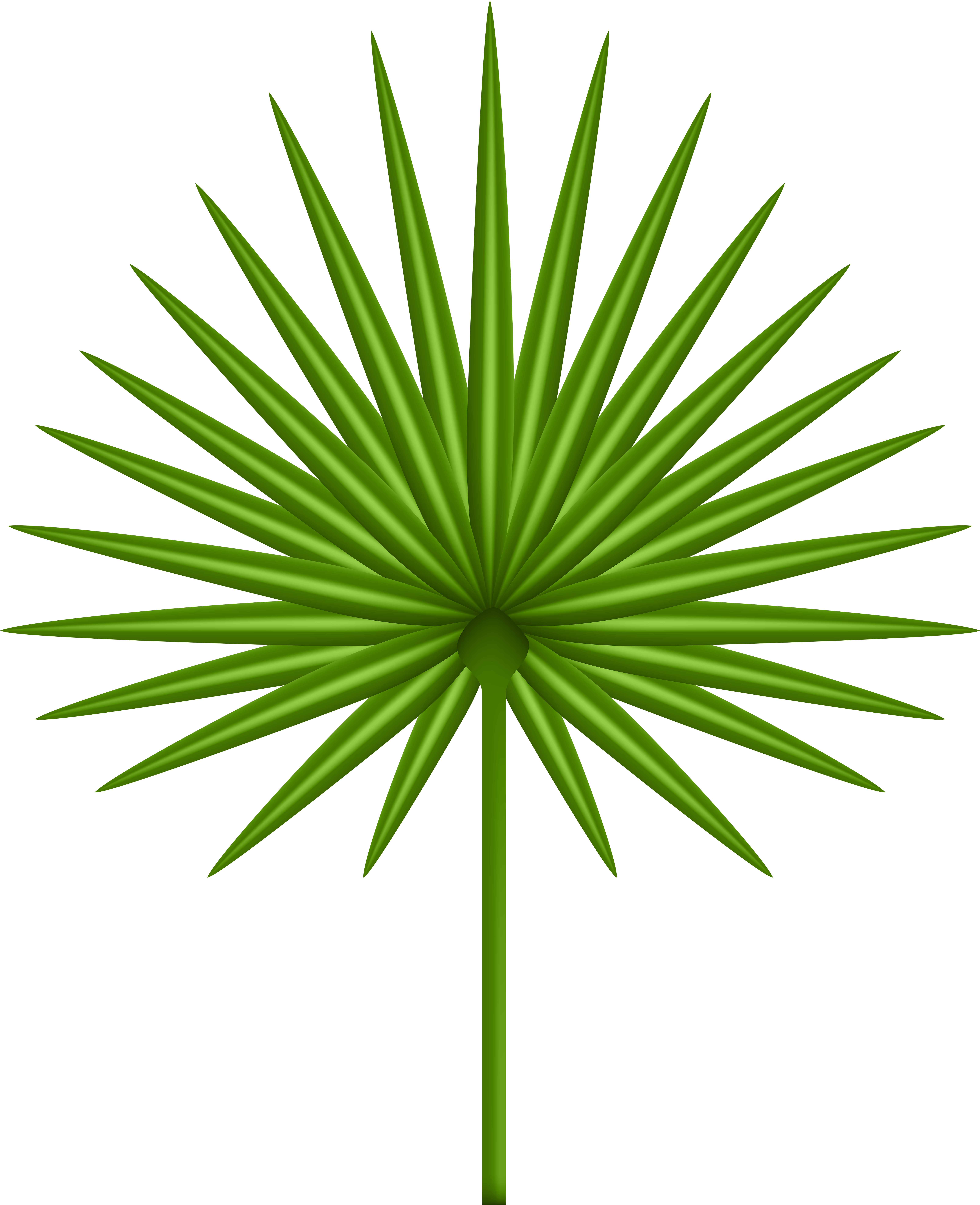 Exotic Clipart - Png Download (6505x8000), Png Download