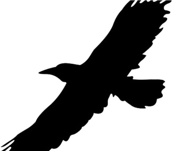 Black Eagle Clipart Raven - Png Download (640x480), Png Download