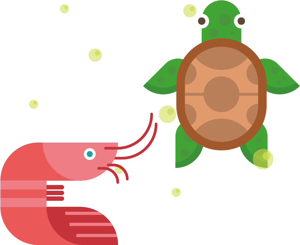 Icon Design Cartoon Turtle And Transprent Clipart (1144x1051), Png Download