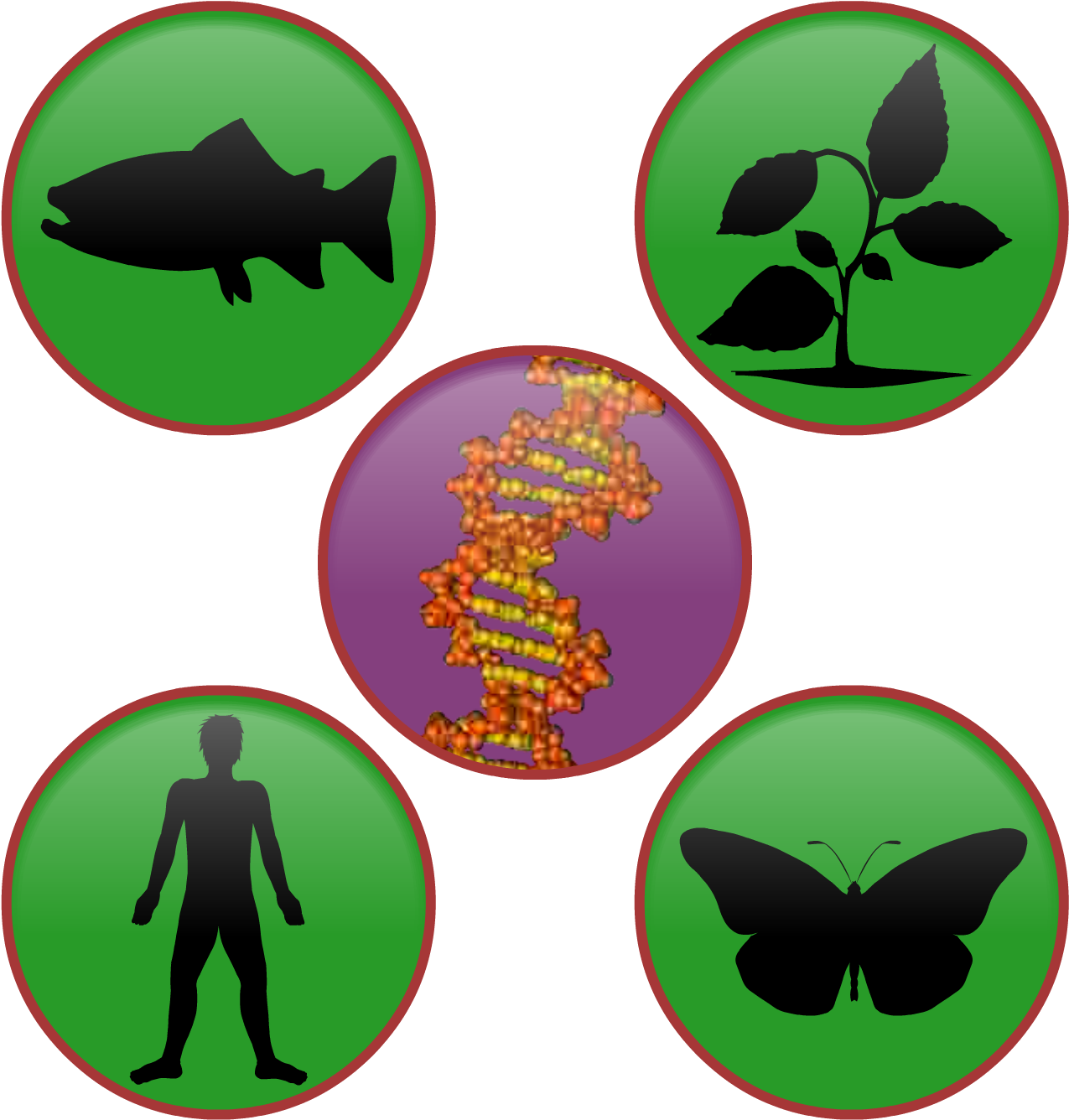 Introduction To Genes Clipart (1370x1452), Png Download