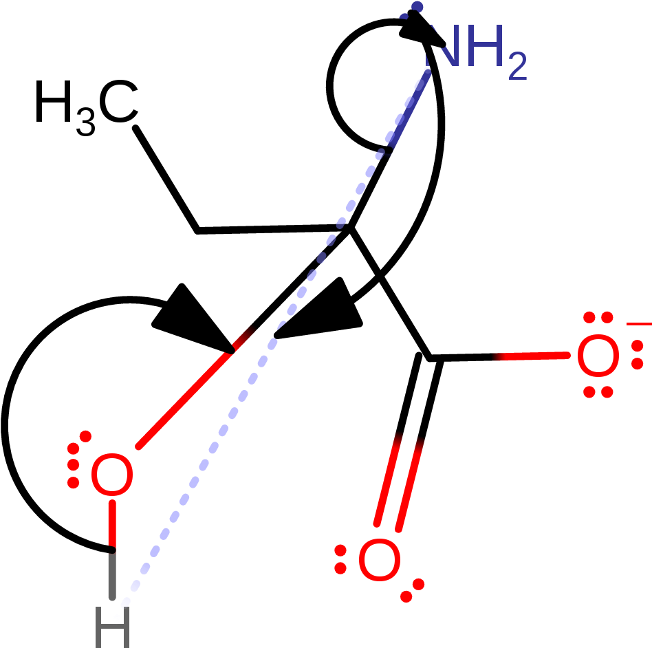 Final Step Of The External Hydrolysis Of The Product Clipart (1000x1000), Png Download