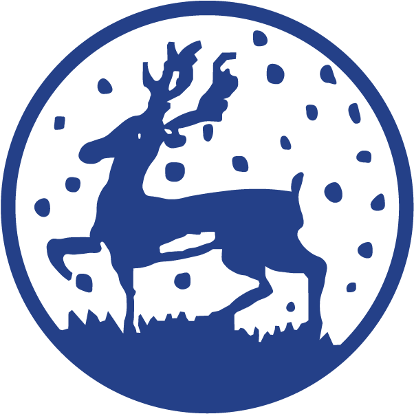 Jellyfish Friends Clipart (619x611), Png Download