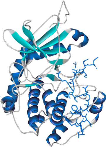 Share On Facebook Clipart (600x600), Png Download