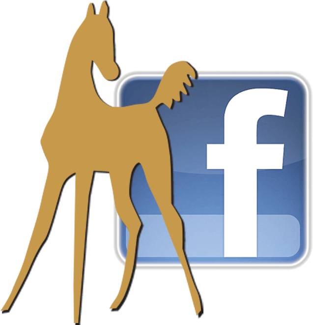 Warmbloodstallionsna On Facebook Warmbloodstallionsna Clipart (710x700), Png Download