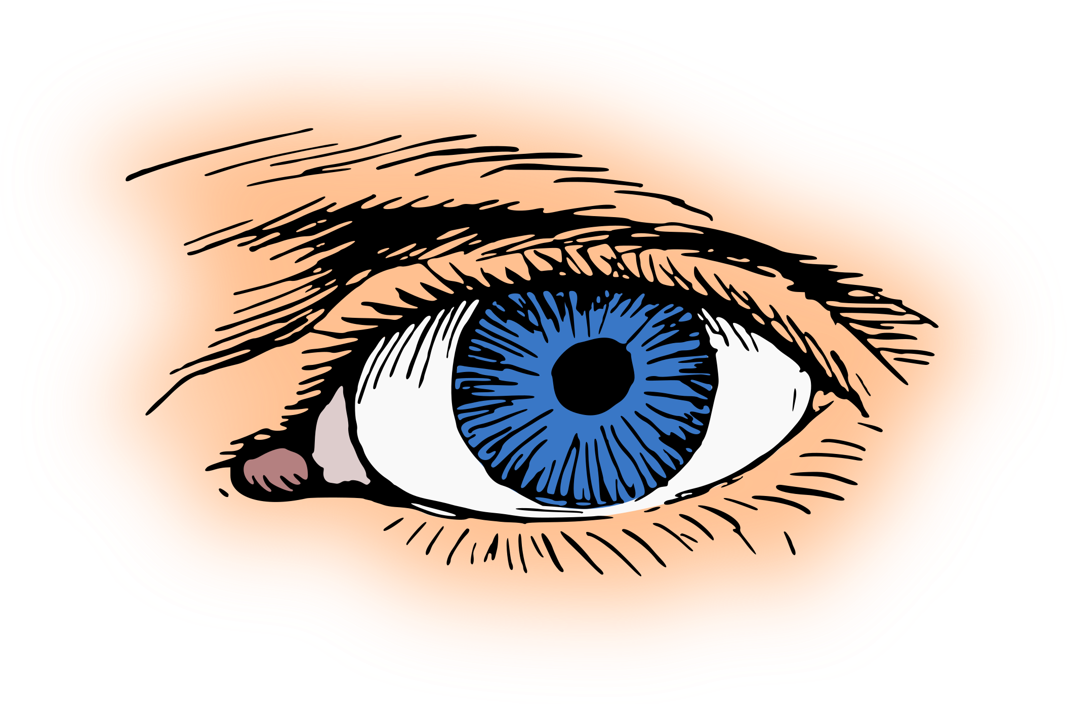 Eye Color Iris Pupil Visual Perception Clipart (2108x1391), Png Download