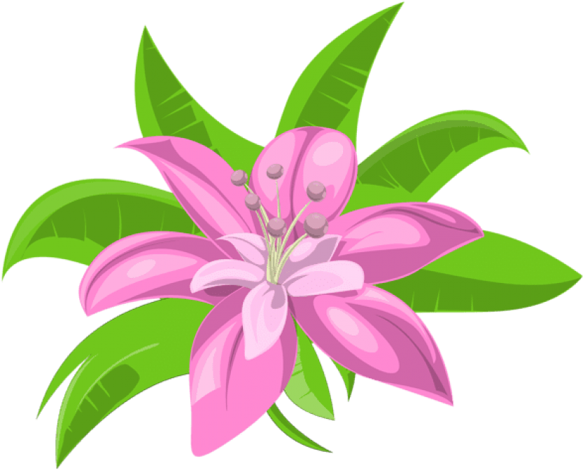 Download Pink Exotic Flower Png Images Background Clipart (850x693), Png Download