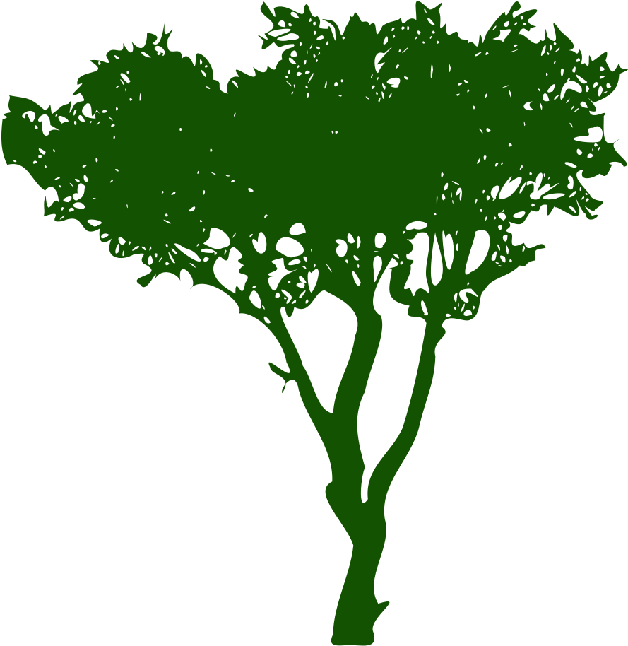 Silhouette Arbre Clipart (975x1000), Png Download