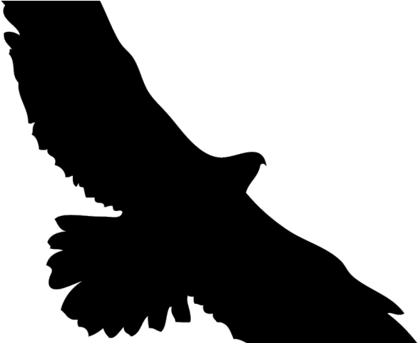 Harris Hawk Clipart Kite Bird - Png Download (640x480), Png Download