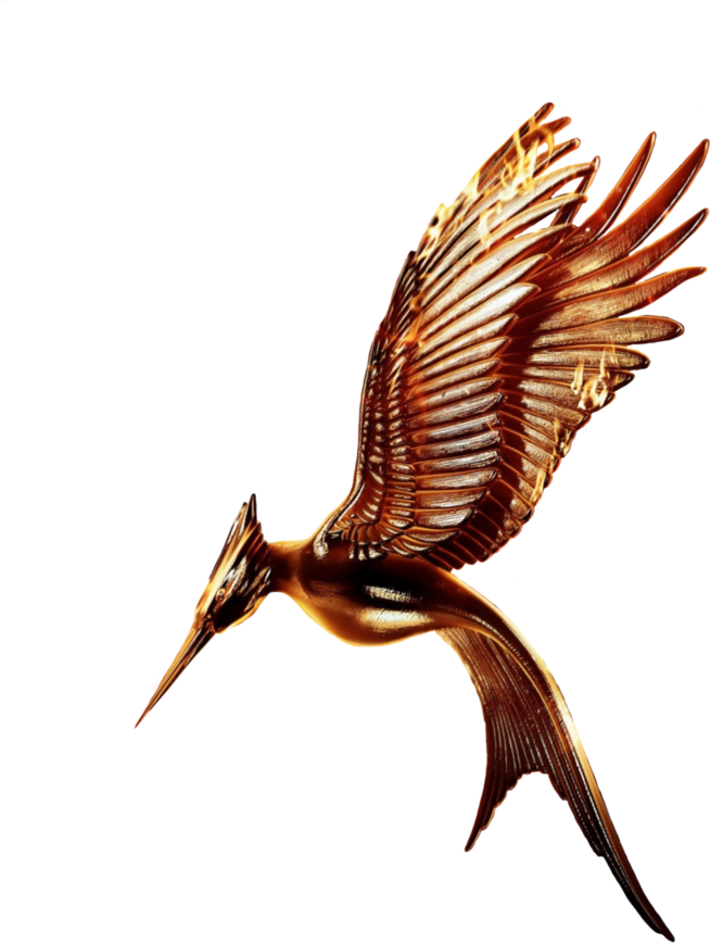 Movie Transparent Without Ring Clipart (894x894), Png Download