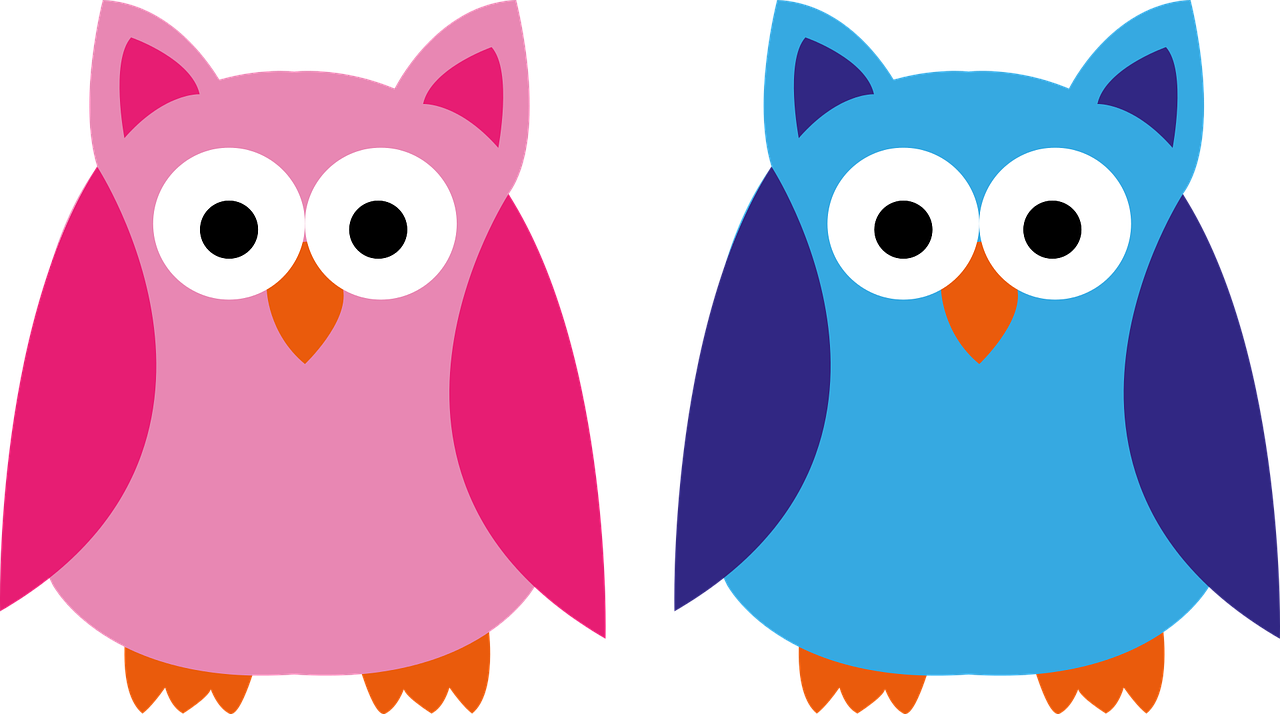 Owl Blue Pink Boy Girl Png Image Clipart (1280x714), Png Download