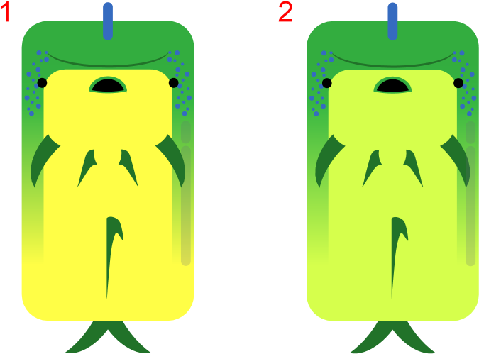 Animal[animal] Mahi Mahi Clipart (838x545), Png Download