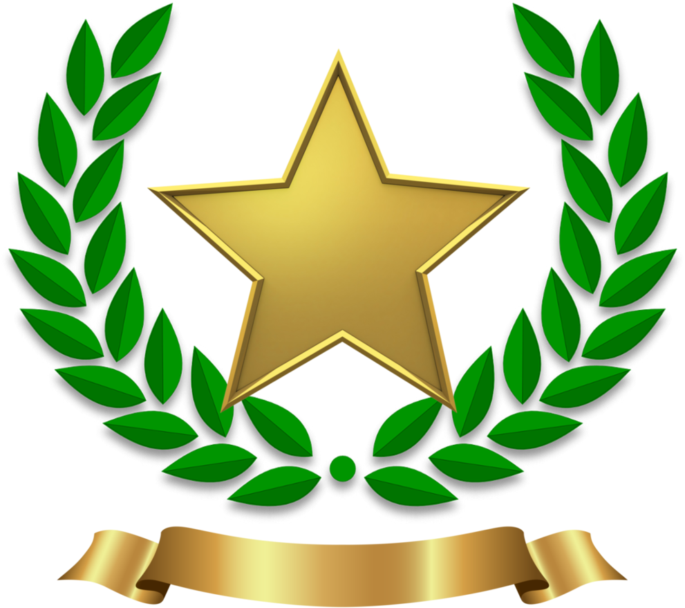 Gold Star Clipart (1000x1000), Png Download