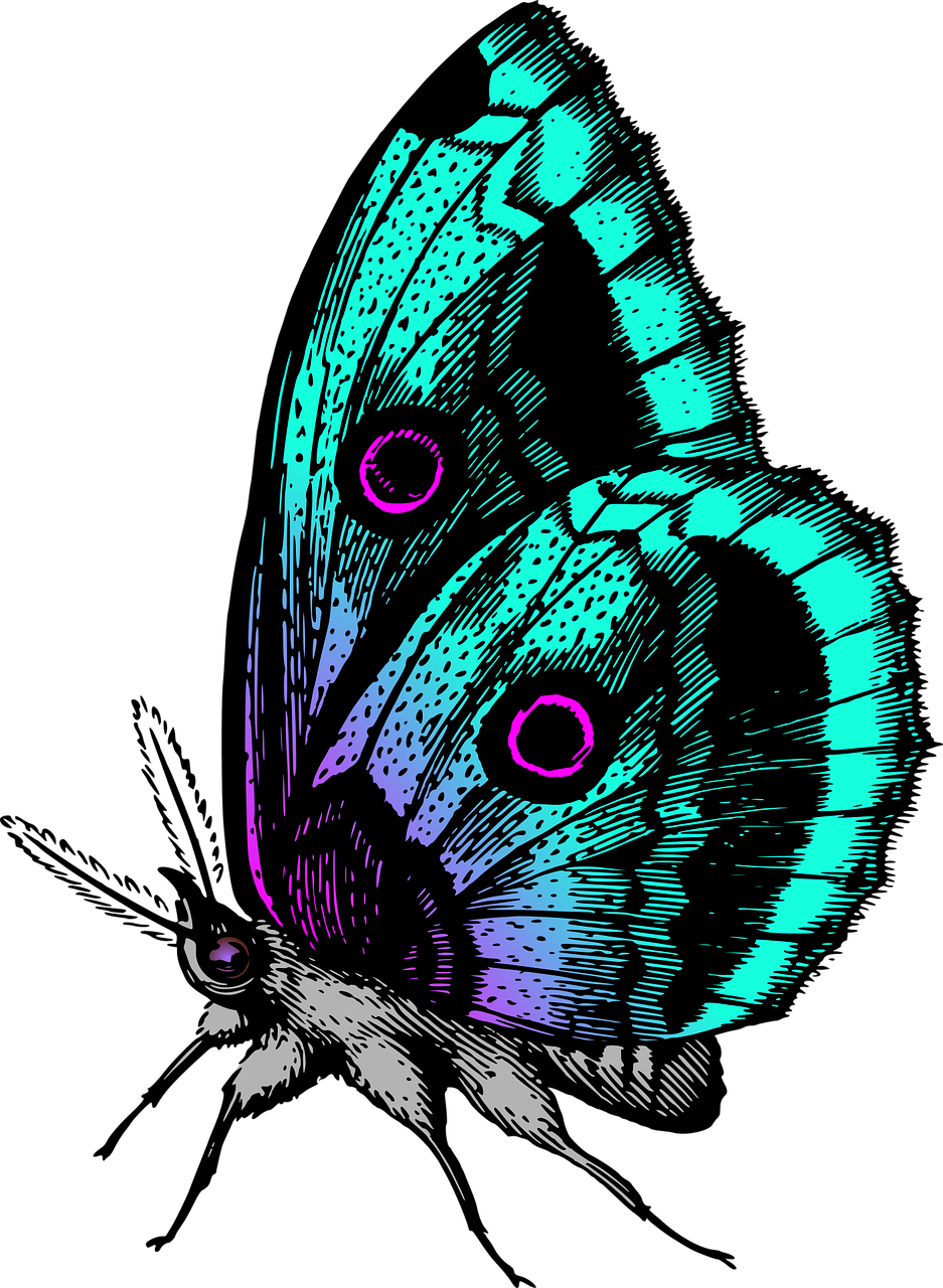 Animal Butterflies Butterfly Png Image Clipart (937x1280), Png Download