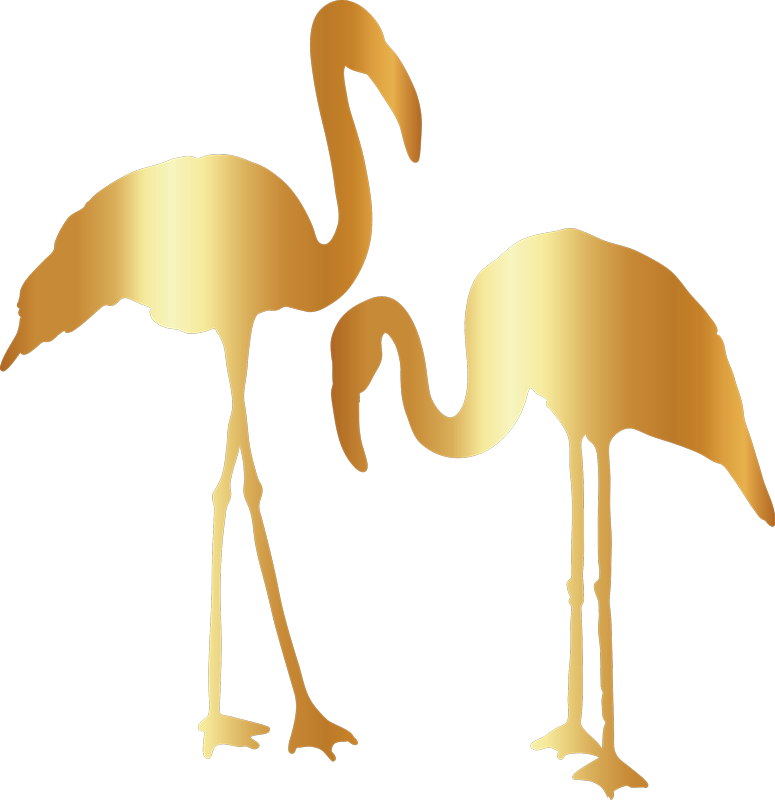 61 Flamingo Malen Vorlage Malvorlagen für Kinder zum