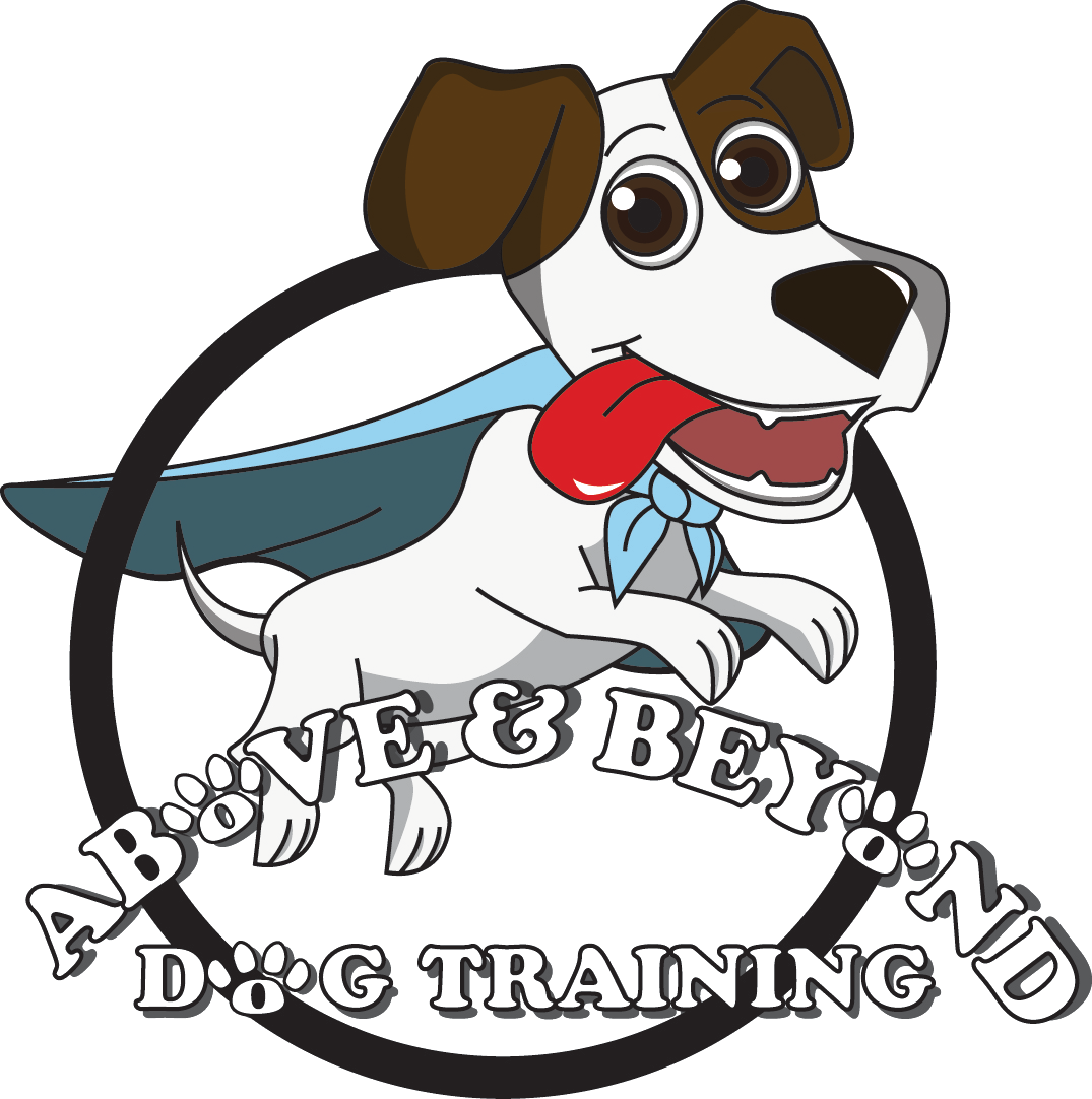 Above & Beyond Dog Training Logo Clipart (1075x1082), Png Download