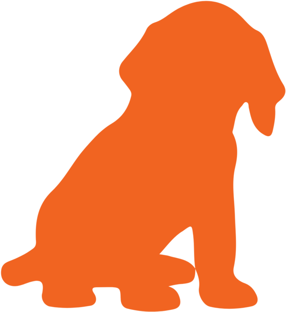 Photo Updates Clipart (1000x1061), Png Download