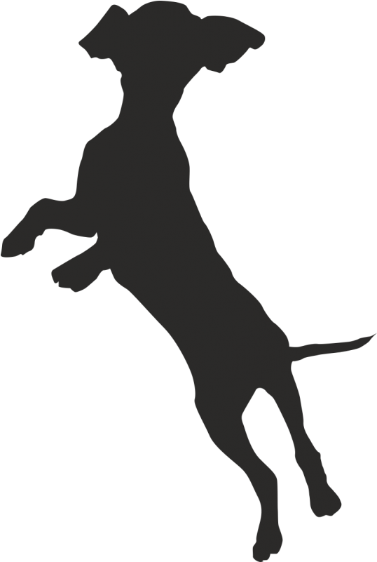 Greyhound Silhouette Sitting - Clipart (800x800), Png Download