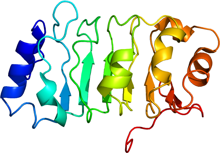 Ell Clip Art - Png Download - Full Size Clipart (#2421858) - PinClipart