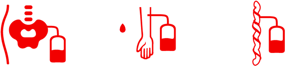 Stem Cell And Bone Marrow Donor Registry Stem Cell Clipart (1180x393), Png Download