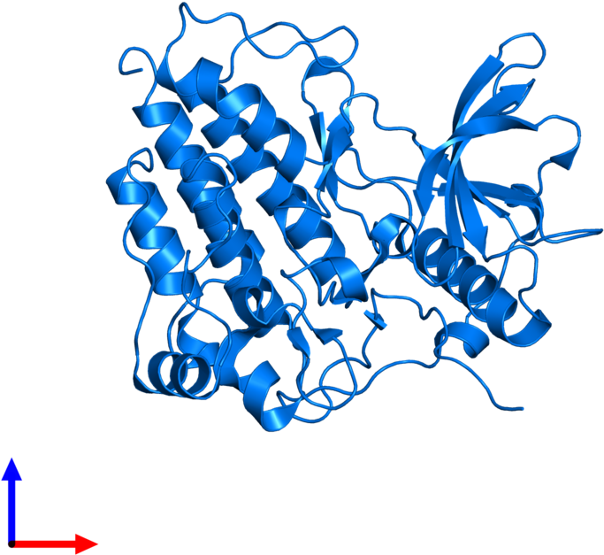 <div Class='caption-body'>pdb Entry 1t45 Contains 1 Clipart (800x800), Png Download