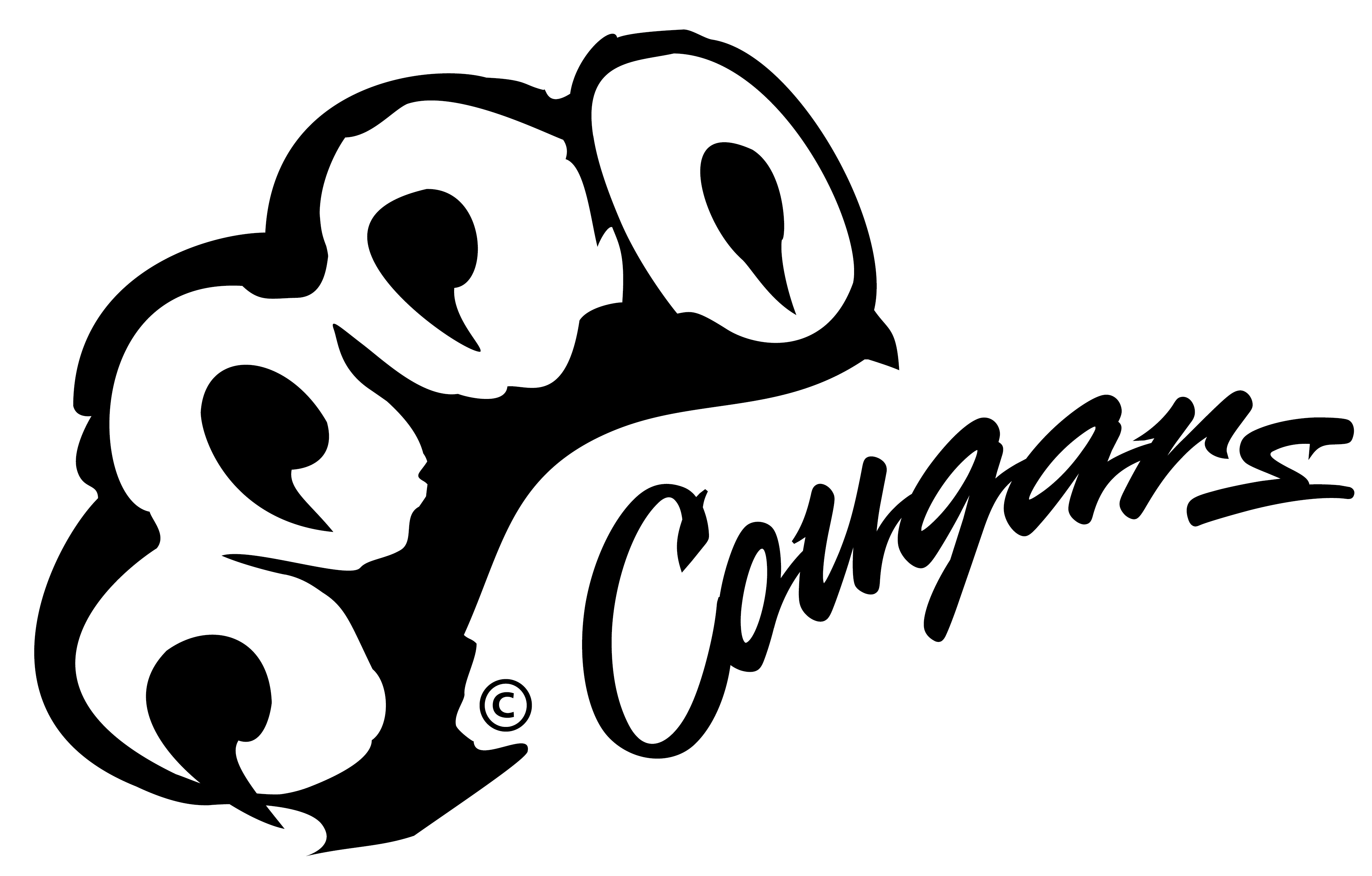 Jpg - Png Clipart (4000x2556), Png Download