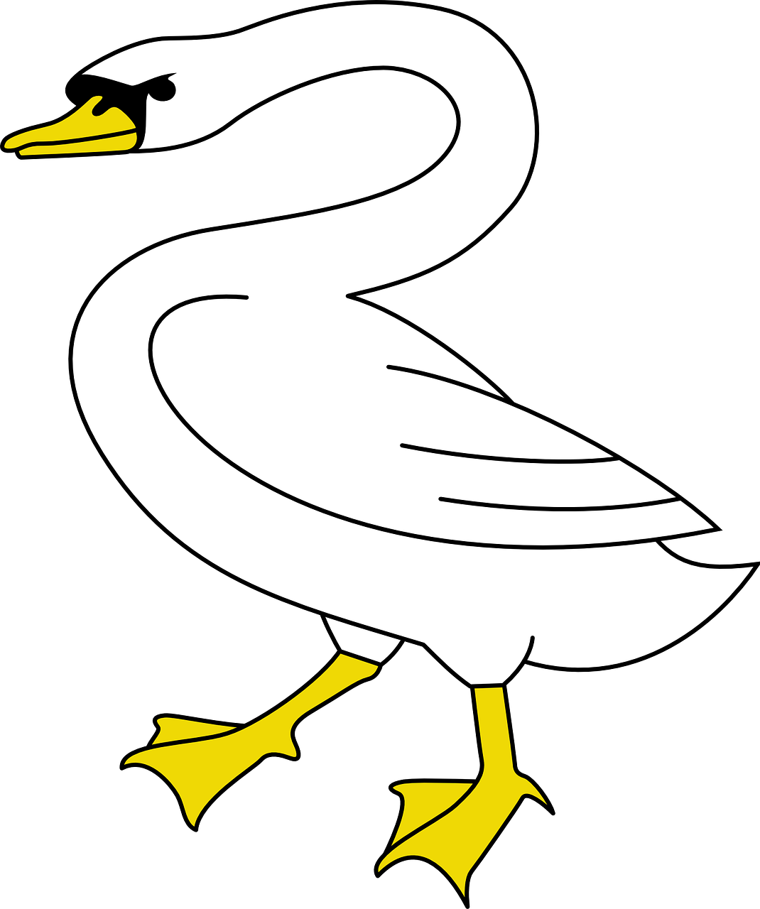 Bird Swan Animal Stand Walk Png Image Clipart (1070x1280), Png Download