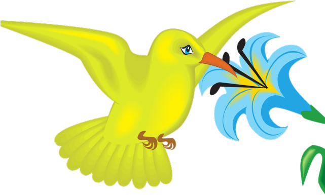 Flowers Clipart Bird - Png Download (640x480), Png Download