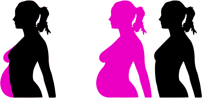 Can I Get Pregnant Right After My Period Clipart (800x439), Png Download