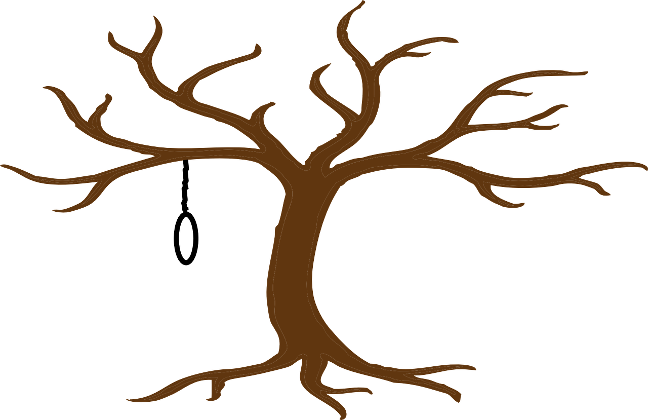 Tree Bare Season Bare-branched Png Image Clipart (1280x829), Png Download