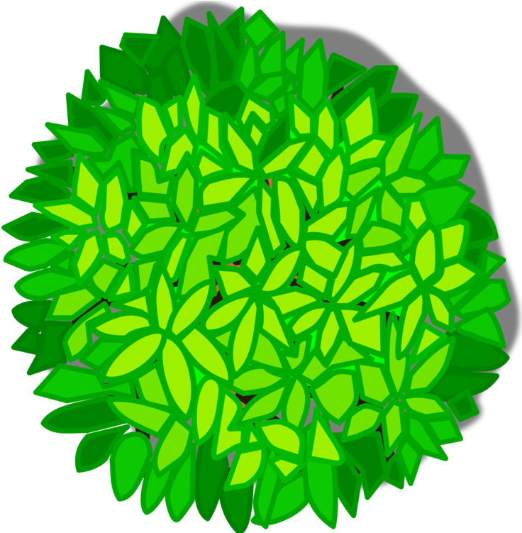 Christmas Tree Shrub Drawing Plants Clipart (750x750), Png Download