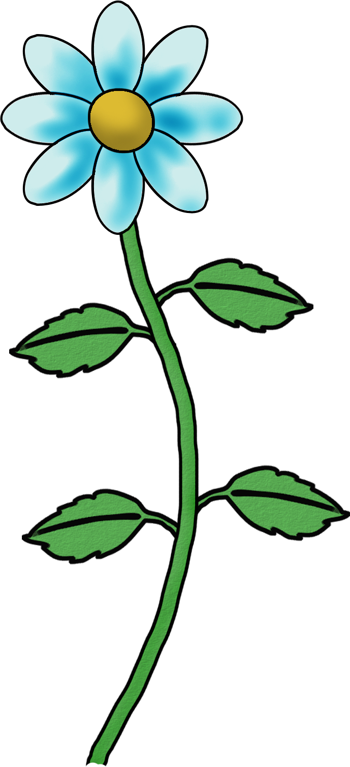 Flower Clipart, Flower Ideas, Clip Art, Margarita, - Png Download (689x1509), Png Download