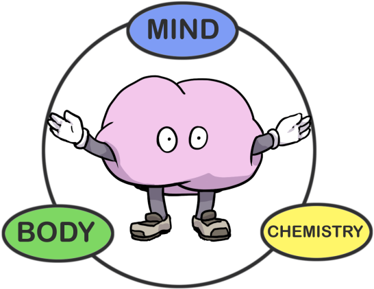 Massages Clipart Kinesiology - Png Download (831x468), Png Download