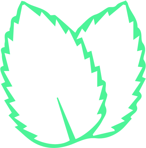 Peppermint Clipart (677x673), Png Download