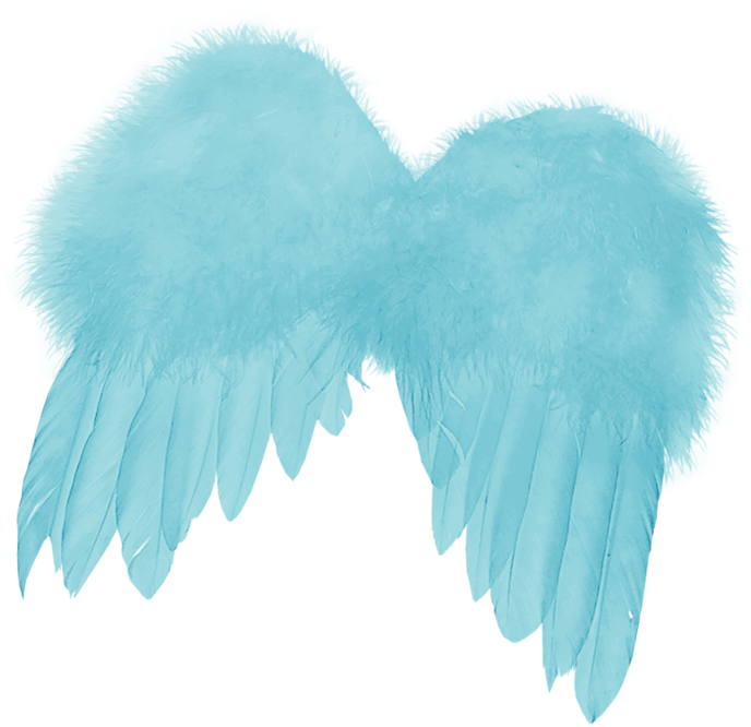 Wings Of Angels Clipart (776x800), Png Download