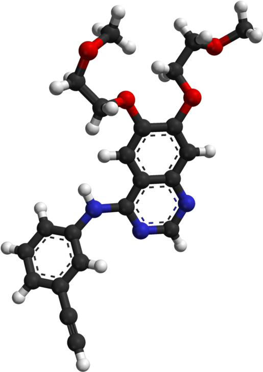 About Cattle Clipart (586x800), Png Download