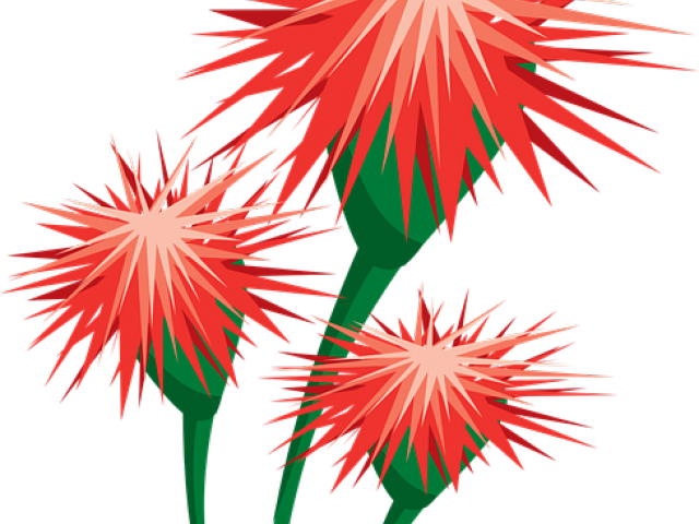 Pollination Clipart Bee Pollinating Flower - Png Download (640x480), Png Download